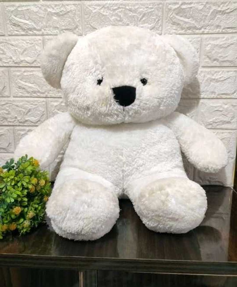 White Teddy Bear 🧸 Plush