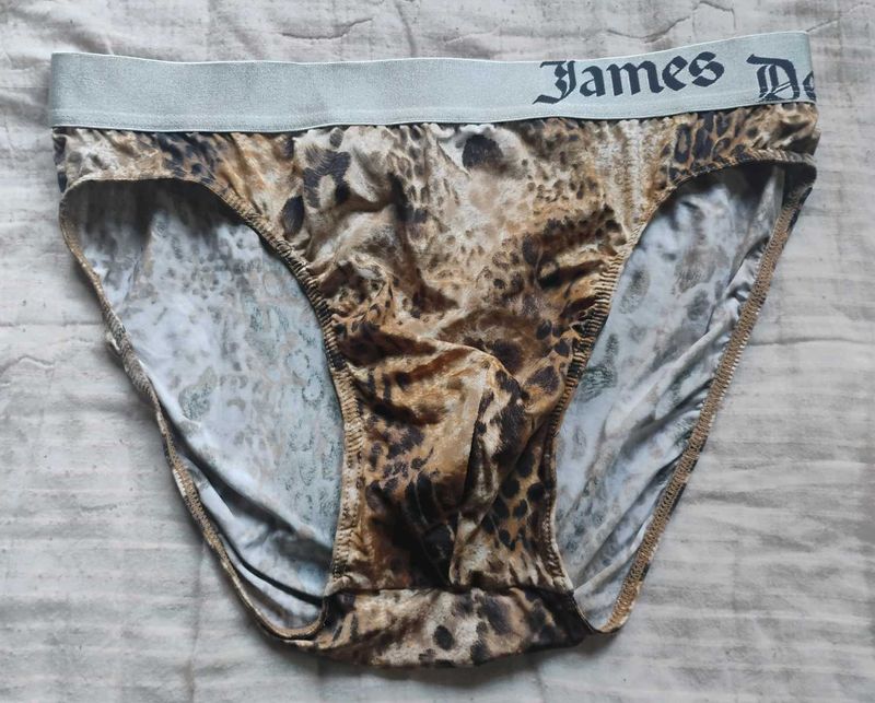 James Dean Brown Silky Briefs