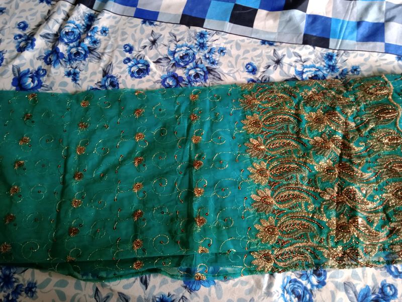 Net Embroidered Saree