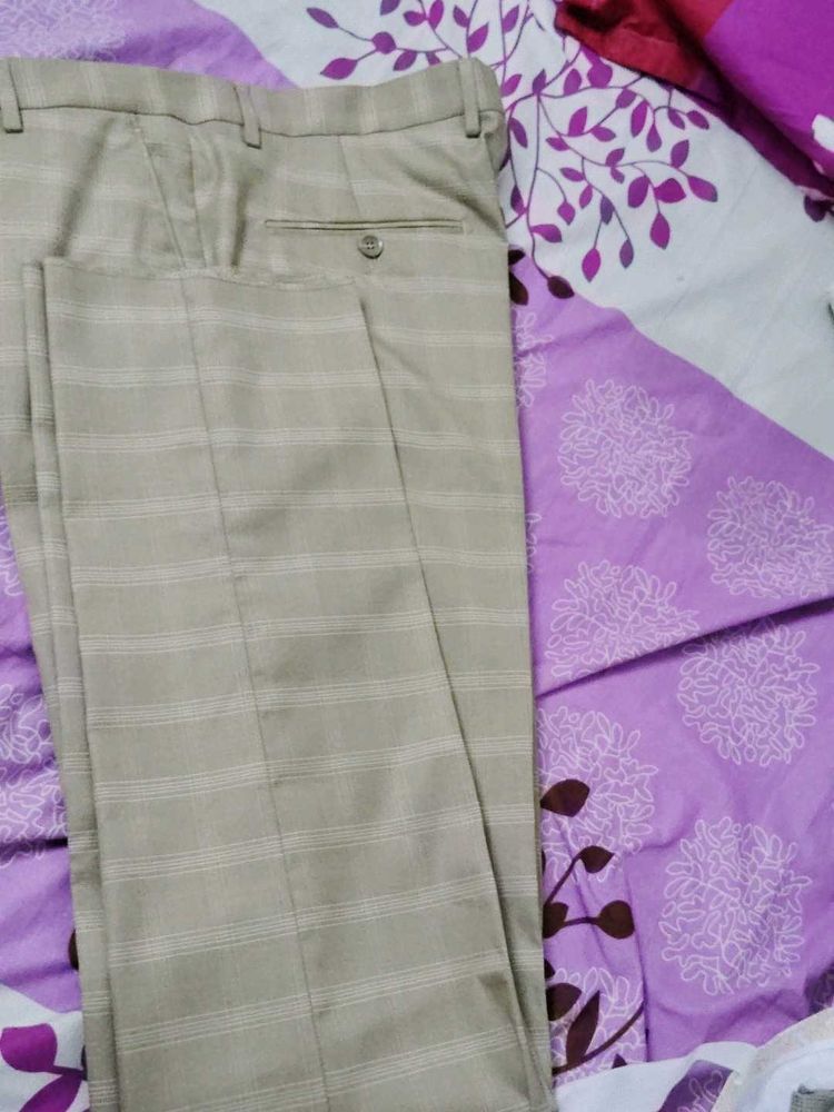 Richlook Brand New Formal Pant