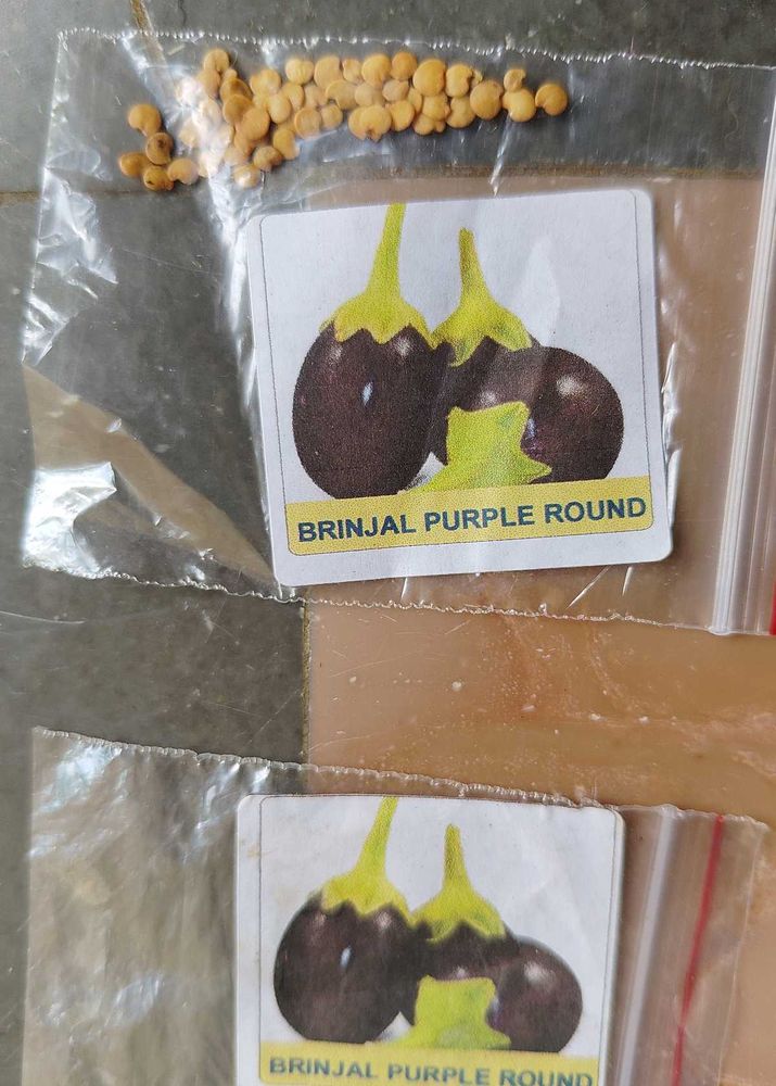 Seeds Combination Of 5 Brinjal Variety