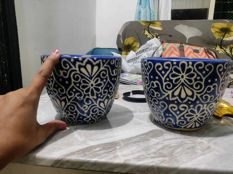 Stylish Pots