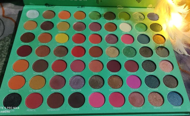 S.f.r Color 63 Pigment Eyeshadow Pallet