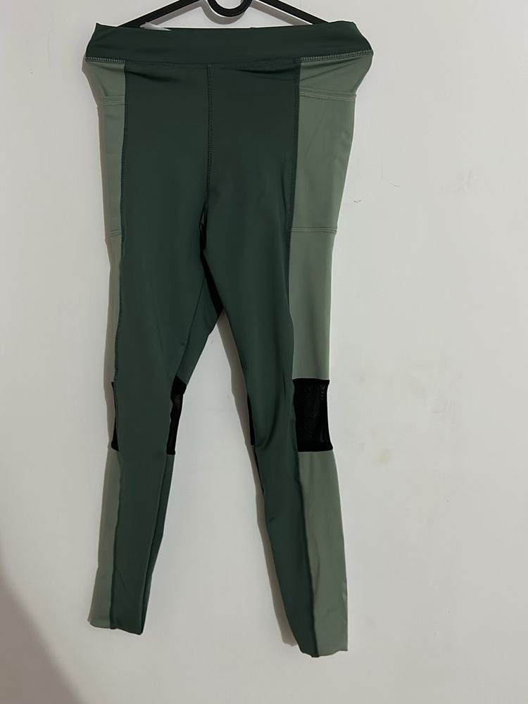 Amazon Mesh Detail Leggings (Green Combination)