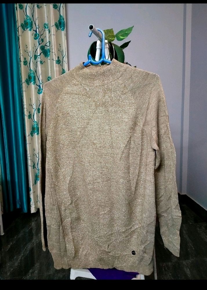 Turtle Neck Shimmery Sweater