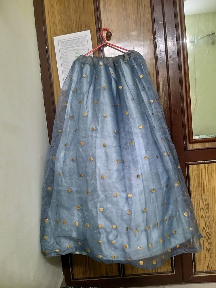 Organza Fancy Full Skirt