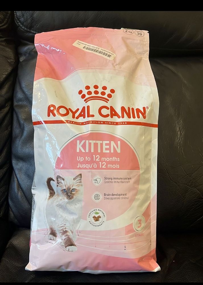 Royal Canin For Kitten