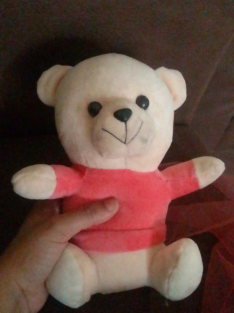 Cute Pich Colour Teddy