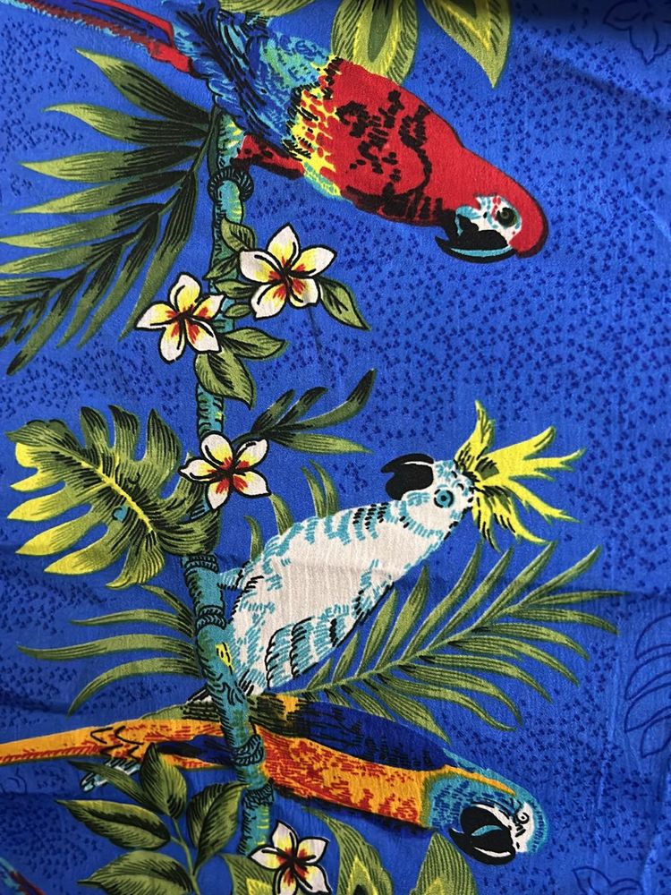 Parrot Blue Kurtha