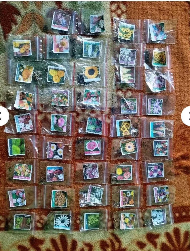 🔥combo Flower seeds of 45 varieties