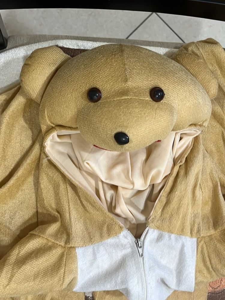 Selling 1 Time Used Bear Costume