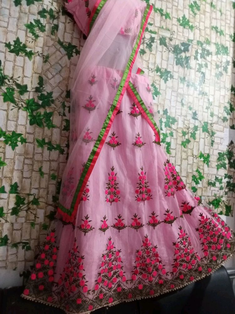 Pink🤩lehnga choli