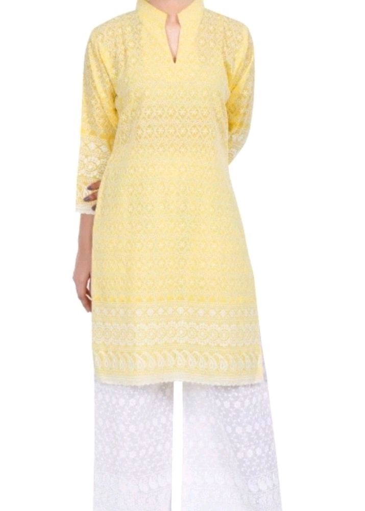 Chikenkari Embroidery Kurti