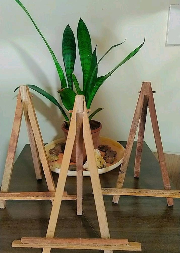 Photo Stand/ Wooden Easel Stands