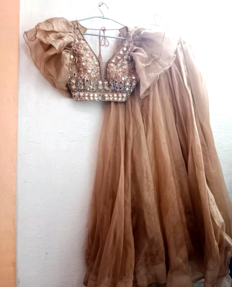 Nude Lehenga Choli