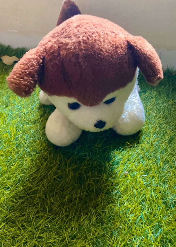 Dog Soft Toy