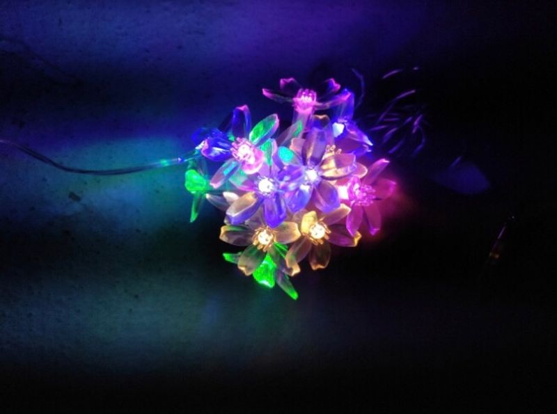 Milti Colors Flowers Lighting For Decoration ❤️