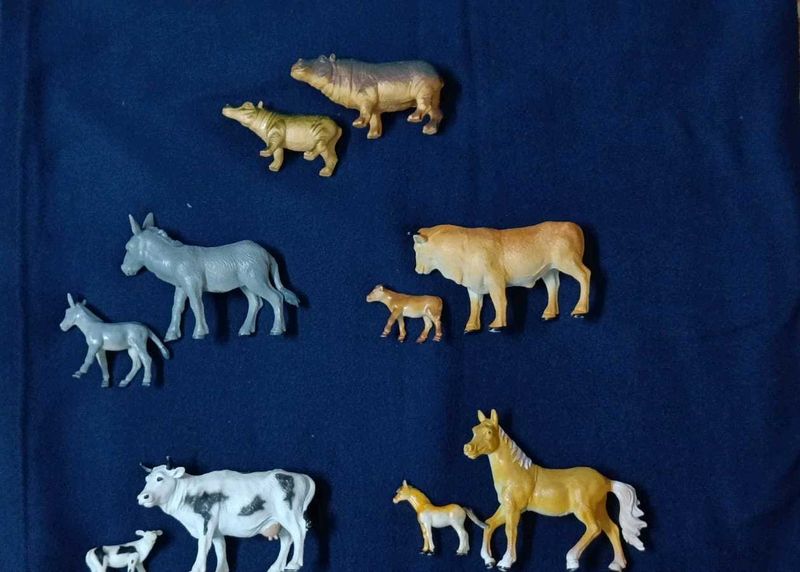 Pack Of 10 Animals With Kids Toys Set