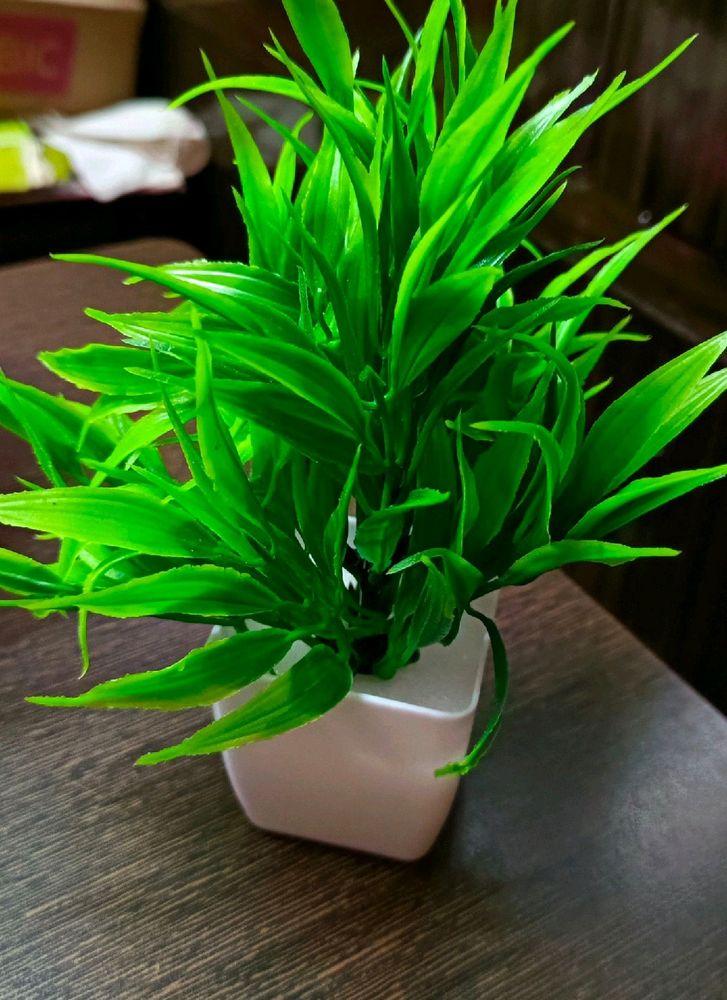 Artificial Plant 4 Piece