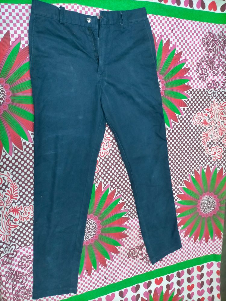 Formal Type Pant