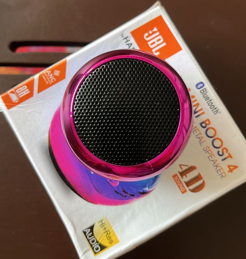 JBL Mini Boost Metal Speaker