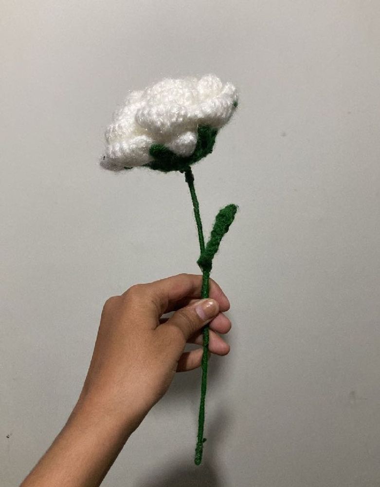 white crocheted rose