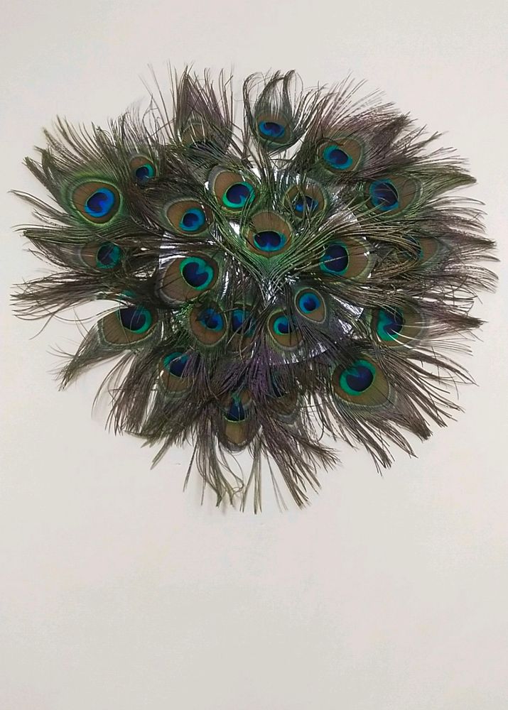 Wall Decorating Peace With Peacock Feather