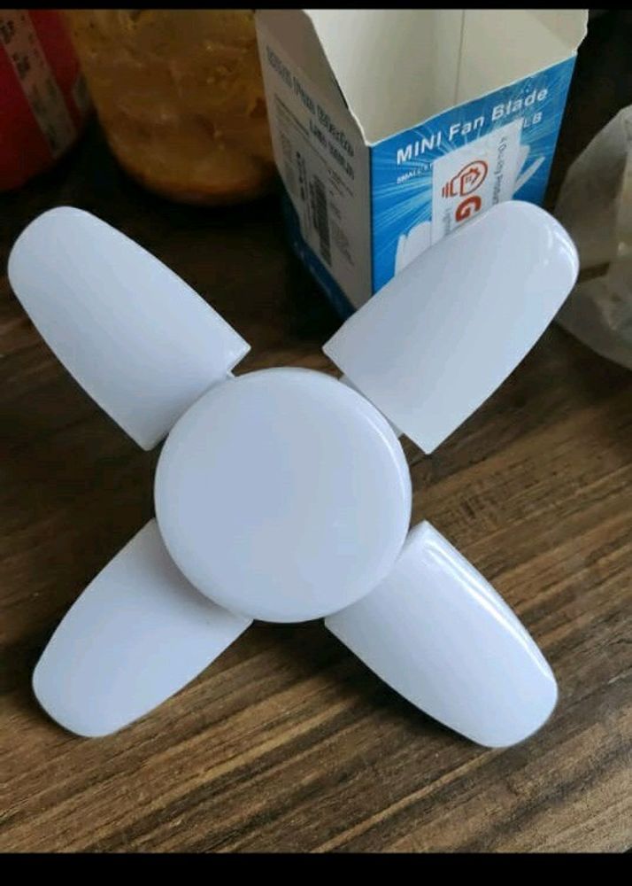 Fan Light