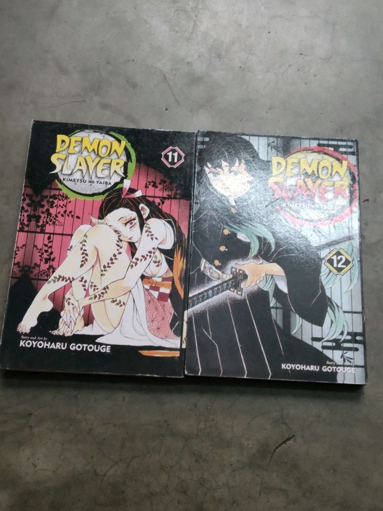 demon slayer volume 11&12