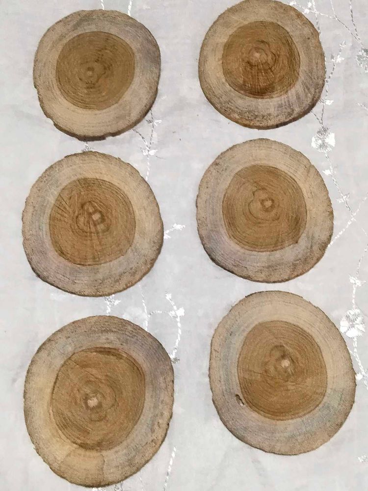 Natural Raw Wood Discs  For Coaster (6 Pc)