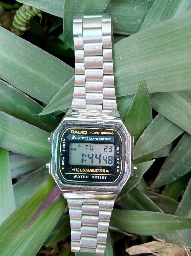 Casio Vintage Digital Watch