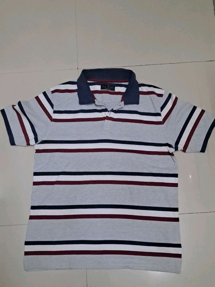 Mens Polo Striped Tshirt