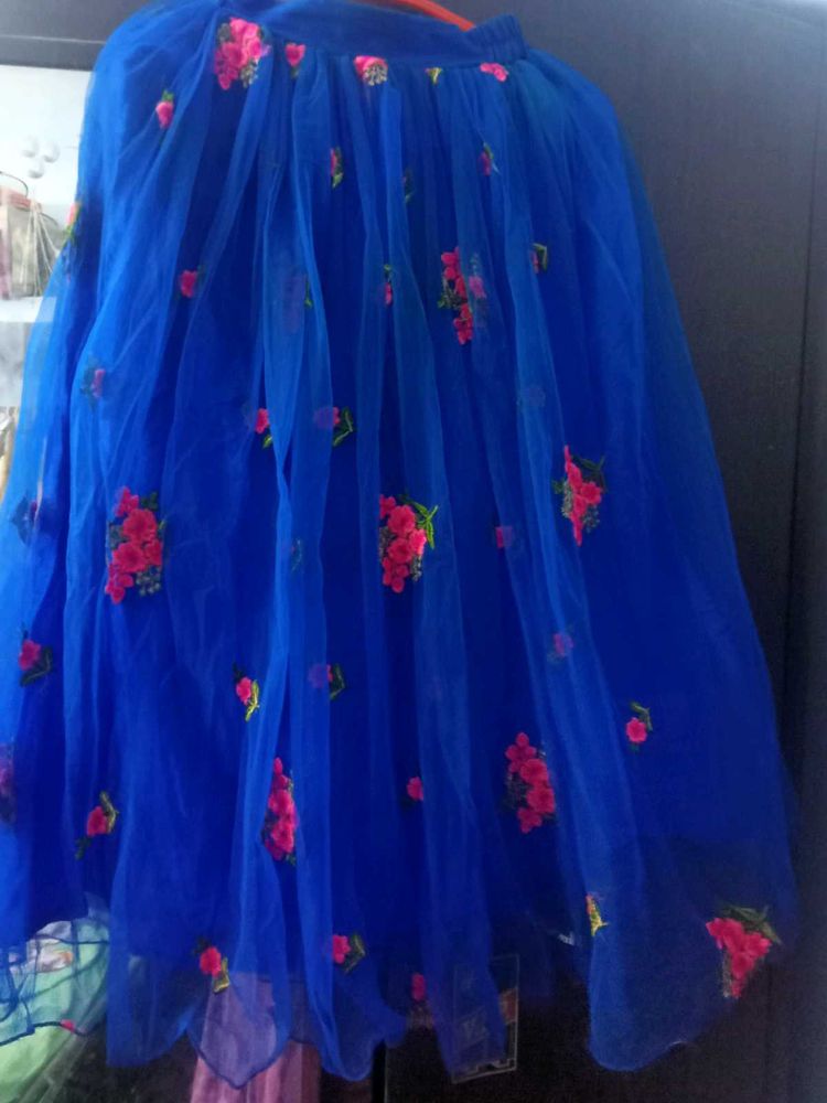 Beutiful Skirt Blue Colour