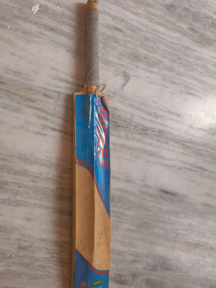 Cricket Bat