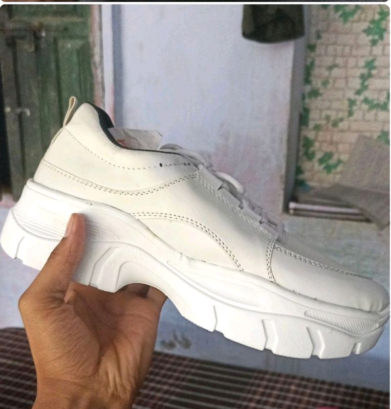 Men White Sneker 7uk