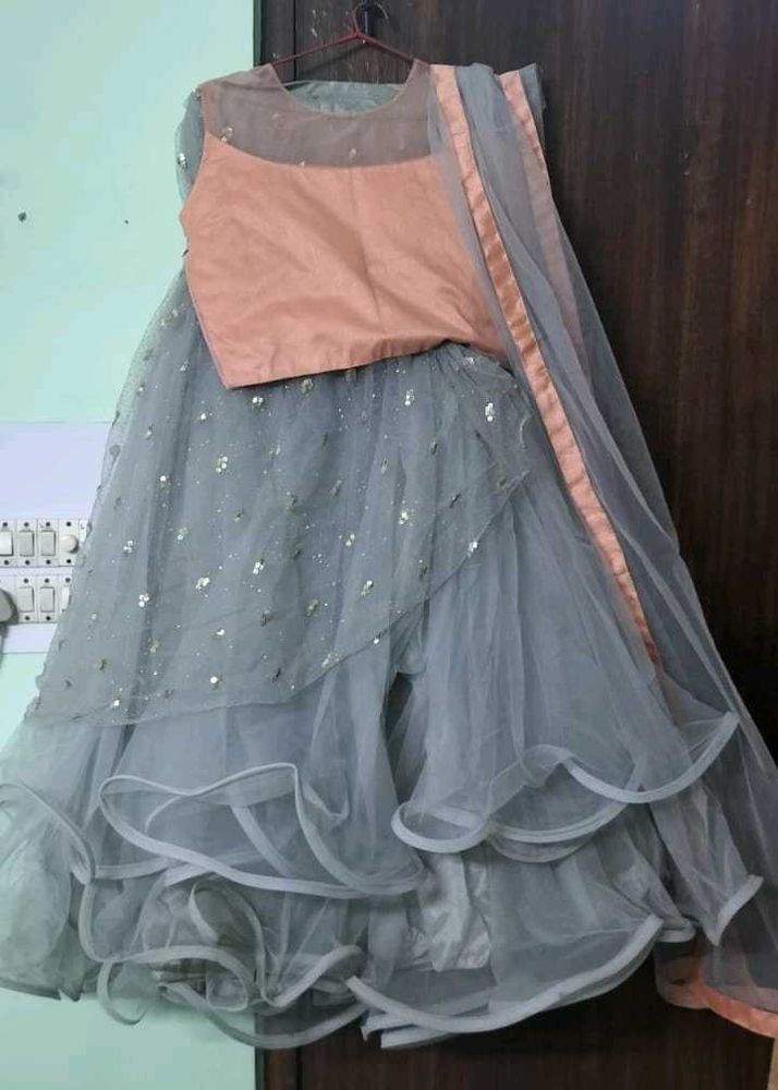 Party Wear Lehnga