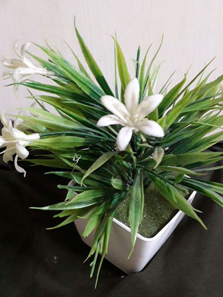 Artificial White Flowers Plant