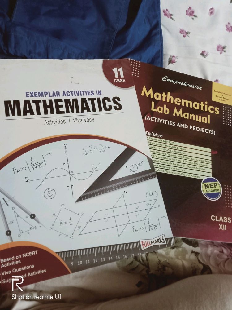 Mathematics Class-11 Viva And Class12 Lab Manual