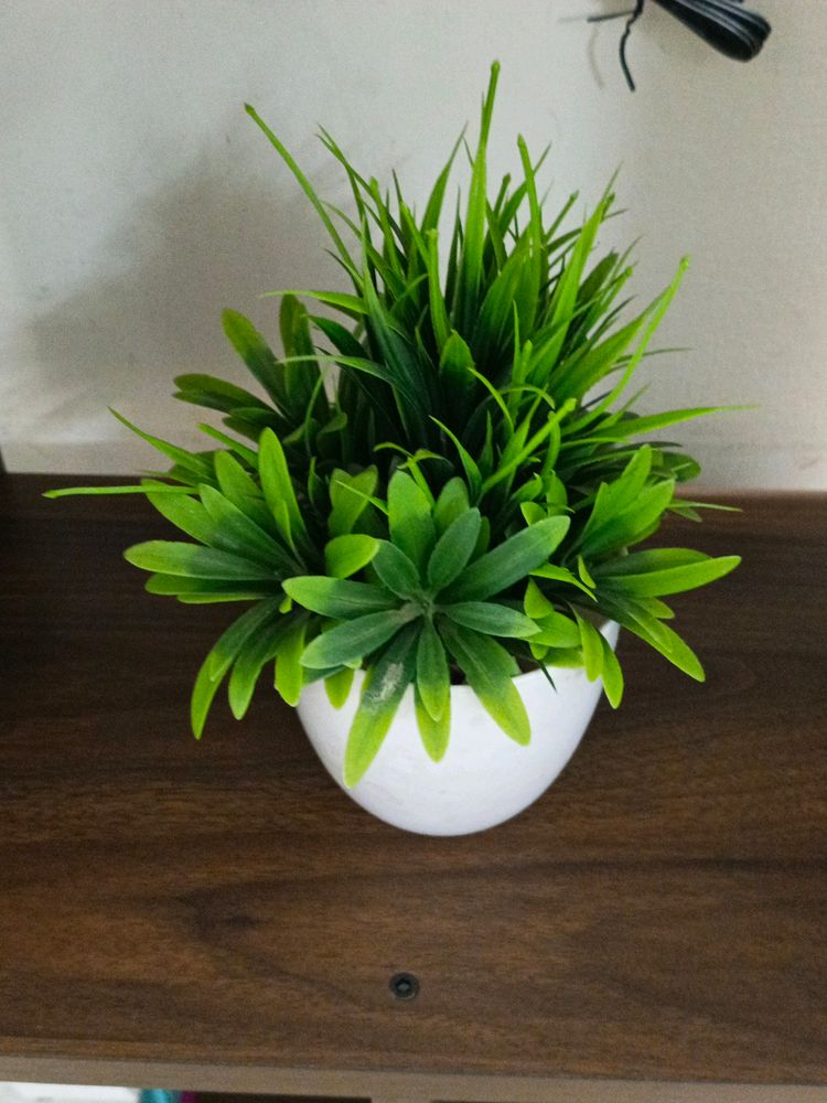 Artificial Flower Pot | Home Decor Item