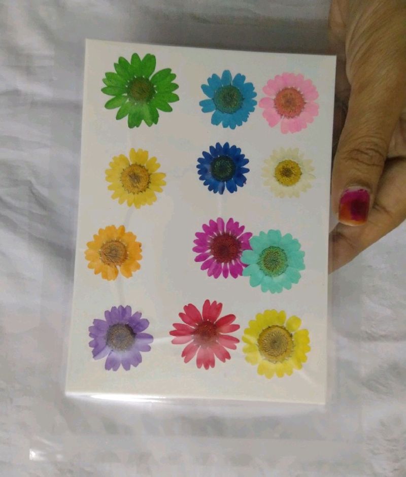 Pressed Flowers