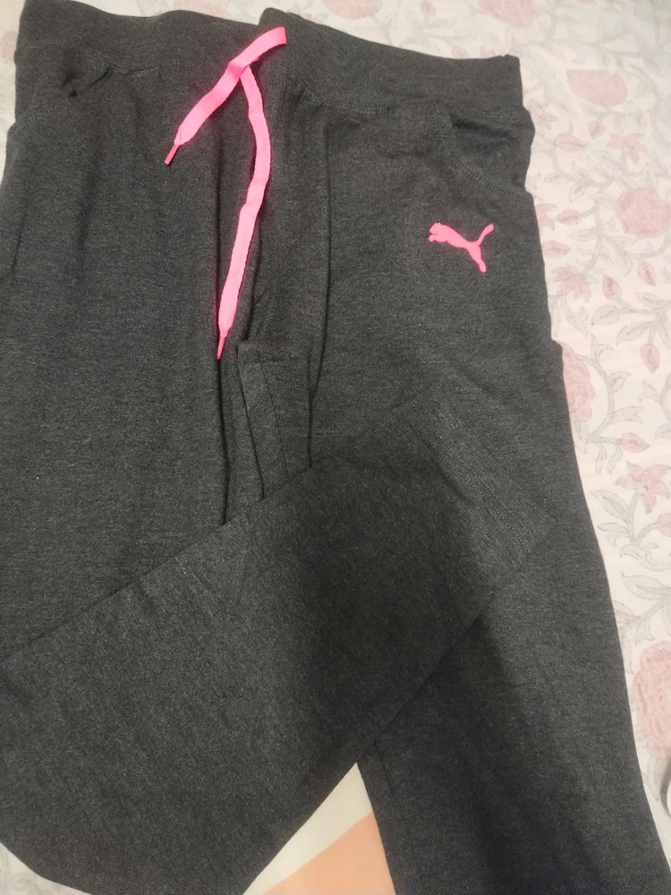 Brand New Gym Wear Pant