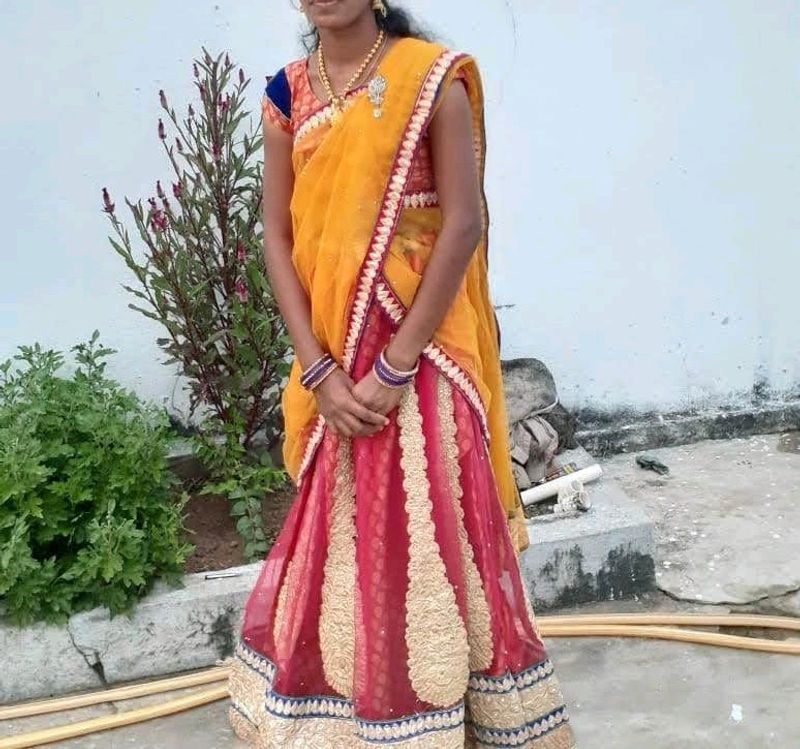 Peach and yellow netted hals saree.