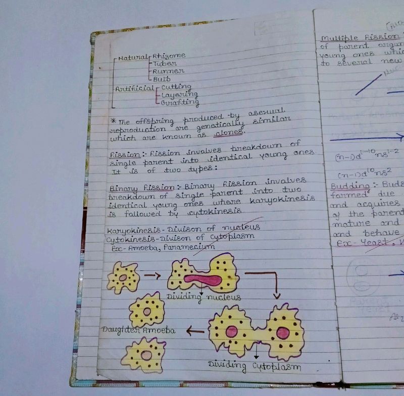 Class 12th CBSE Biology Notes