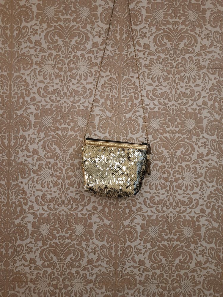 Sequin Bag/Pouch