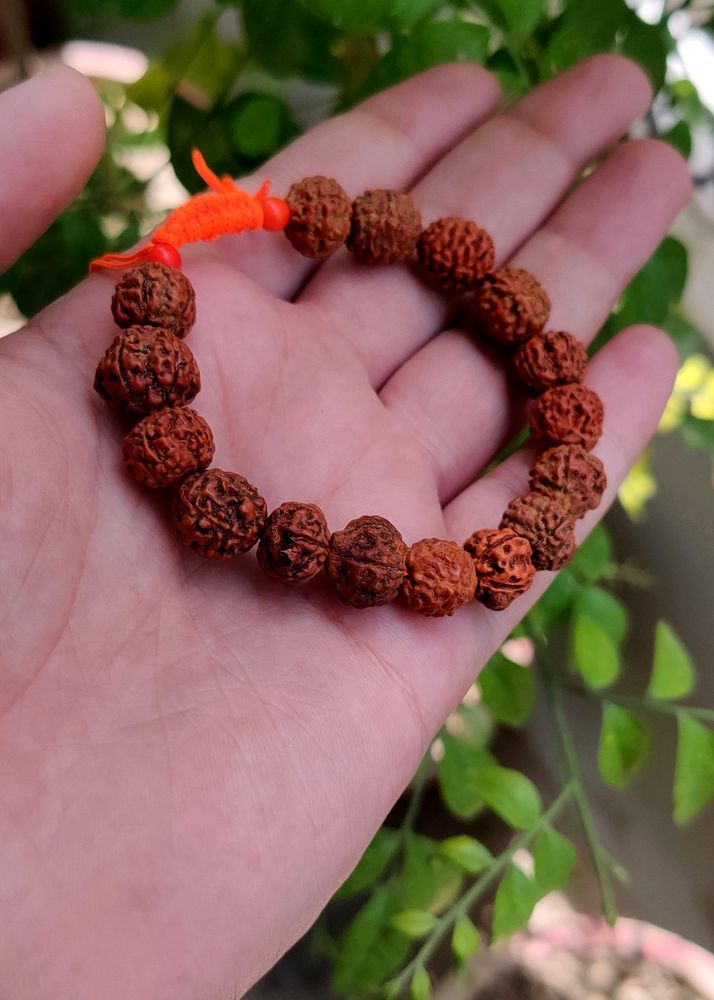 Panchmukhi Rudraksha Bracelet