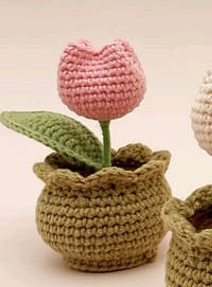 Mini Tulip Pot