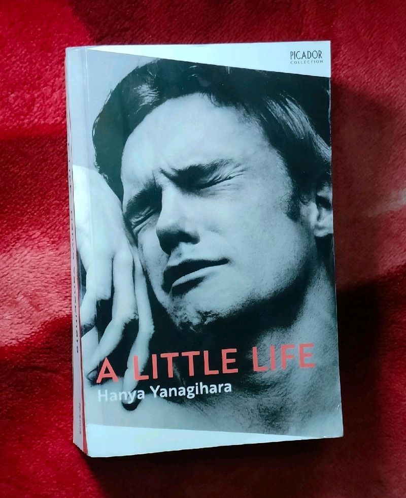 It Is Reserved A Little Life Book