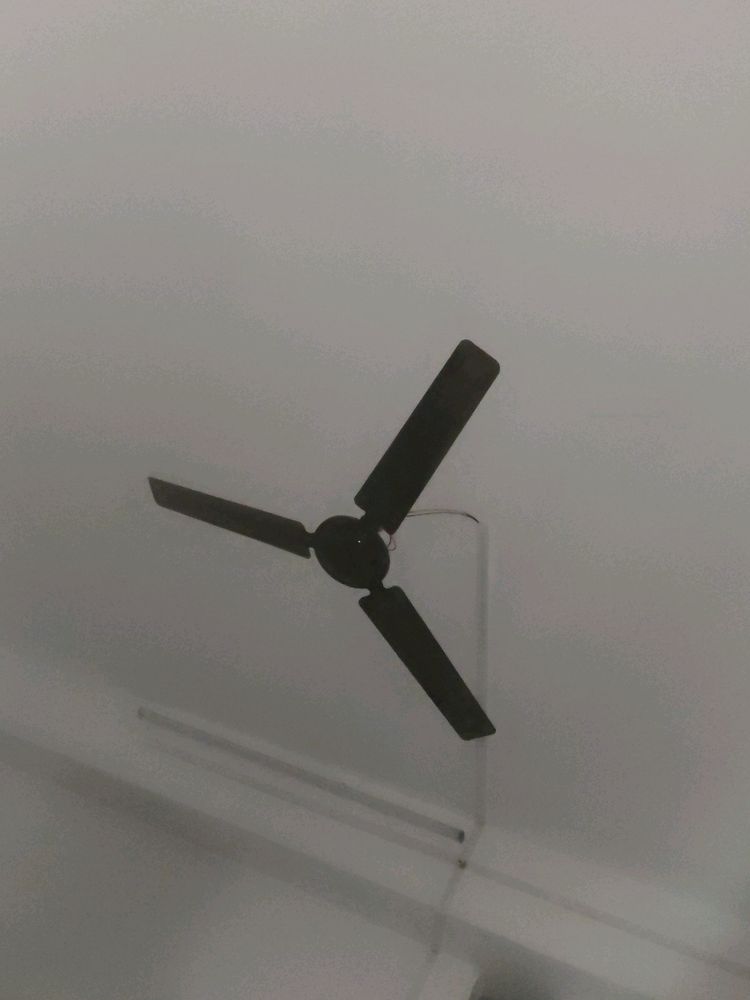 Ceiling Fan