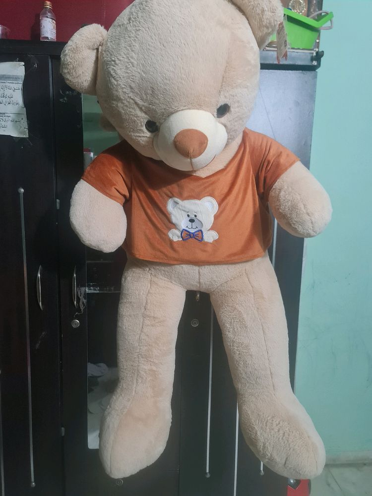 Big Branded Teddy At 50% Off Price