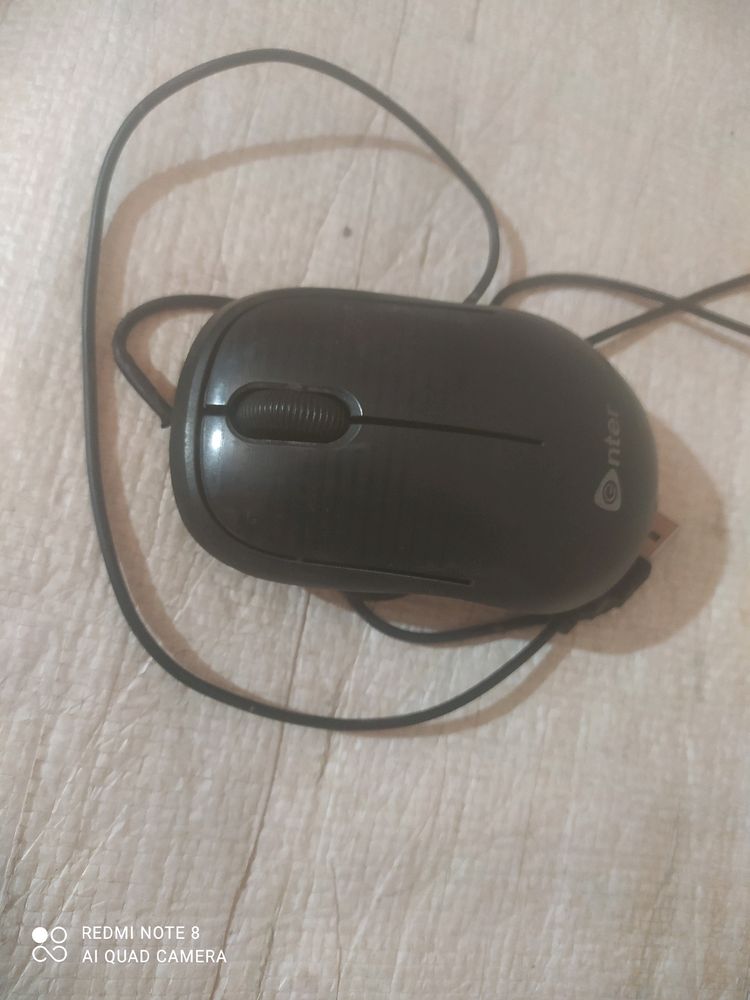 Mouse On Working Condition